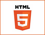 HTML5 Icon